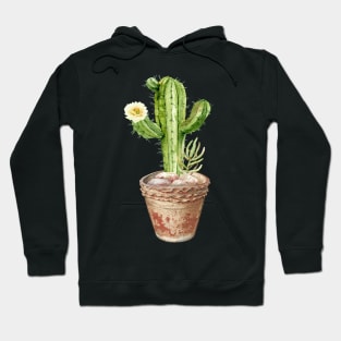 Hand painted Watercolor Cactus in Terracotta pot Hoodie